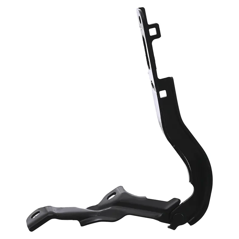 Bisagra de Cofre RADEC 006-1301-10