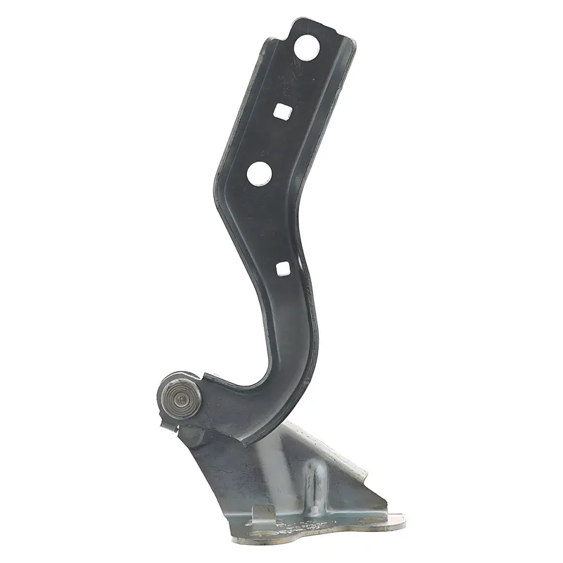 Bisagra de Cofre RADEC 006-3110-01