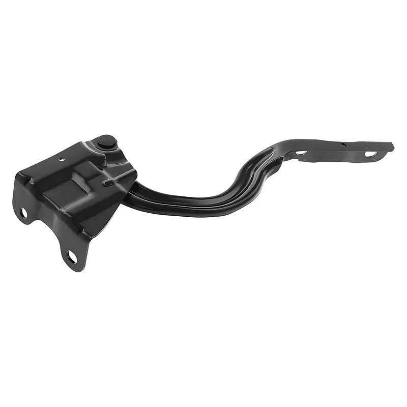 Bisagra de Cofre RADEC 006-3507-00