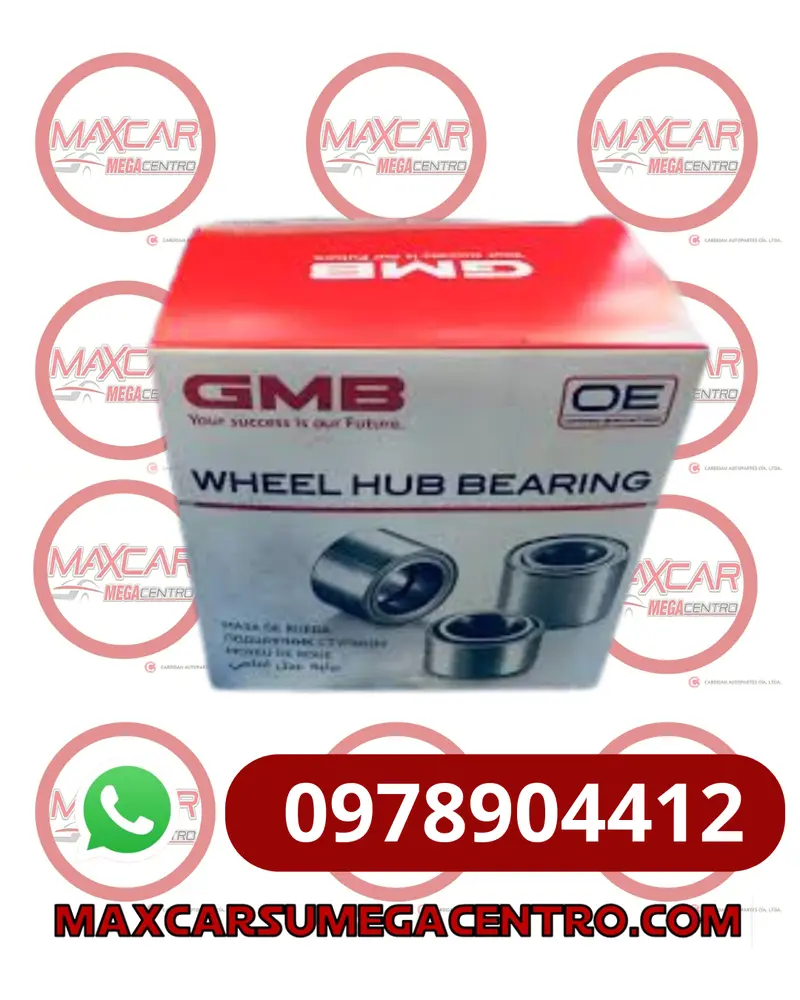 R.GH038170D RULIMAN RDA DEL GMB RIO R 12-