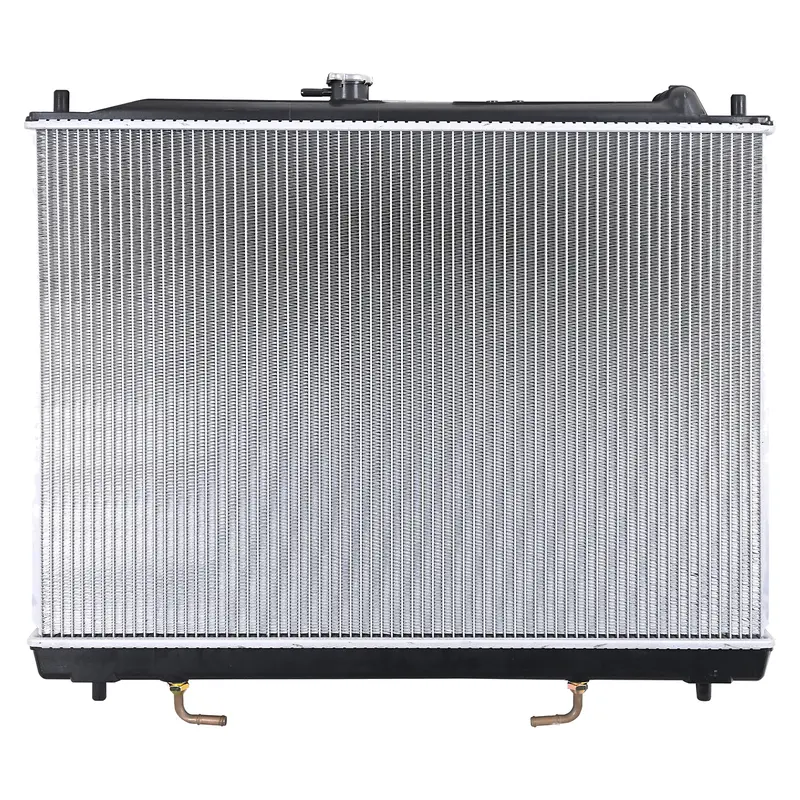 Radiador POLAR 220-2207-03
