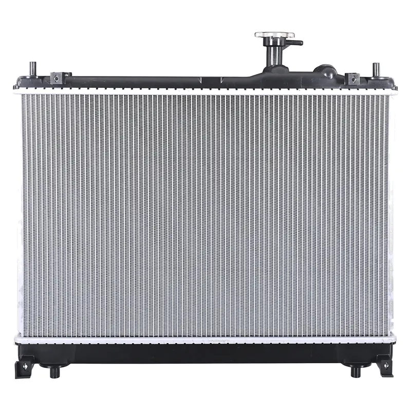 Radiador POLAR 220-2903-03