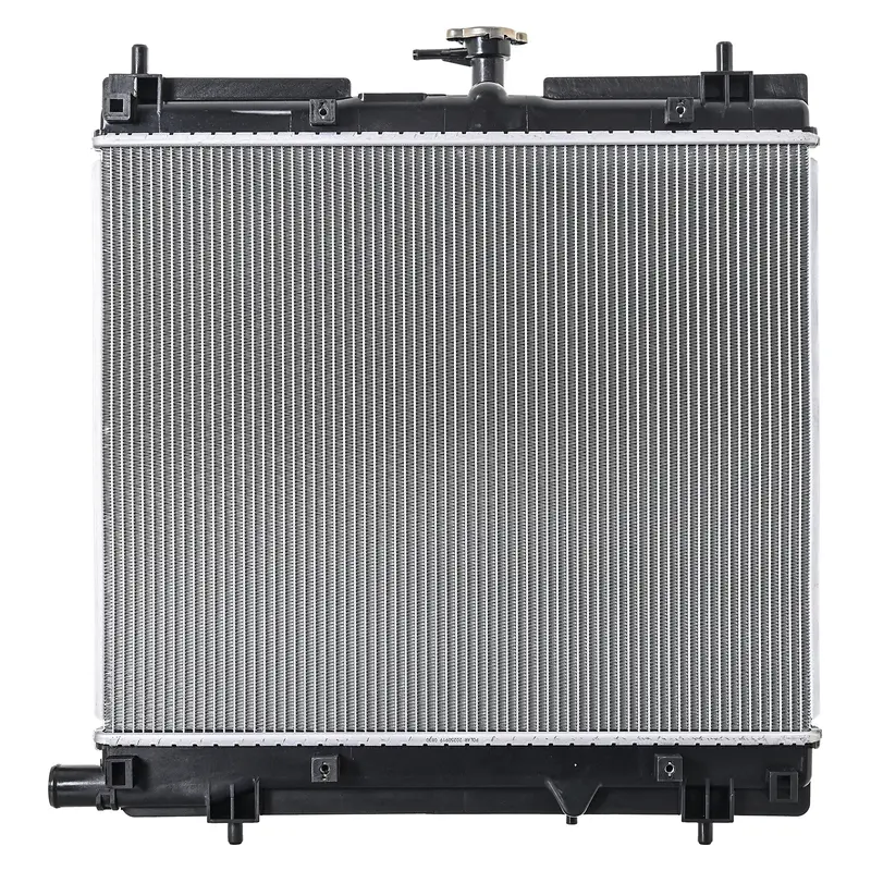 Radiador RADEC 220-3025-06