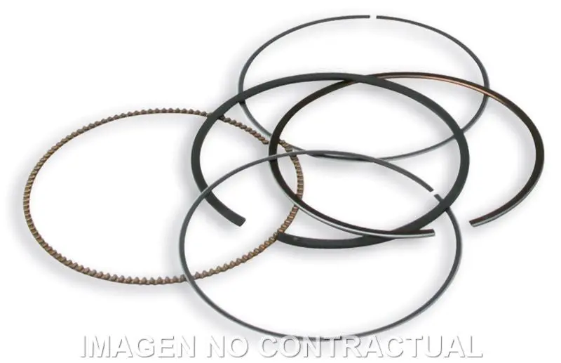 SEGMENTOS D. 75,5 MM