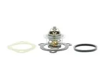 TERMOSTATO 17600-85821 STEEM-T85821